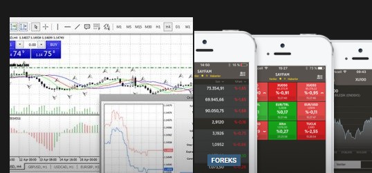 Forex Merkezine İlk Adım