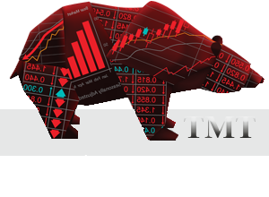 TMT Forex Akademi Nedir? Kurucusu Kimdir?