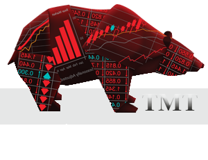 TMT Forex Akademi Nedir? Kurucusu Kimdir?